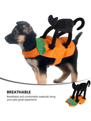 Pet Costume Pumpkin Black Cat