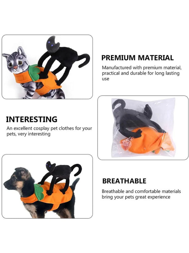 Pet Costume Pumpkin Black Cat