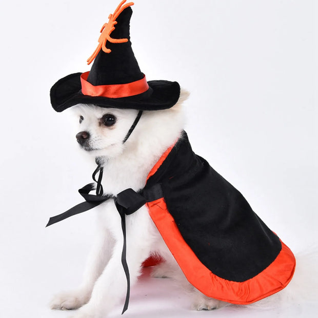 Halloween Pet Costume With Witch Hat Small Dog