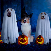 Ghost Pet Cloak Spooky Cosplay Costume