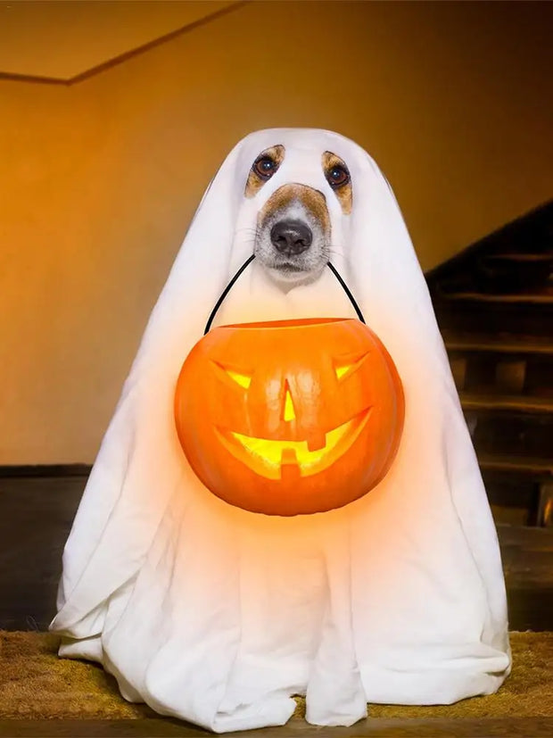 Ghost Pet Cloak Spooky Cosplay Costume