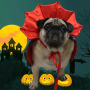 Halloween Pet Costumes Cute Cosplay Vampire