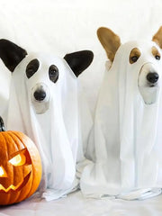 Ghost Pet Cloak Spooky Cosplay Costume