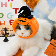 Halloween funny dogs, cats, pumpkins, hats, animal costumes