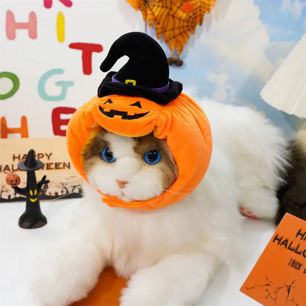 Halloween funny dogs, cats, pumpkins, hats, animal costumes
