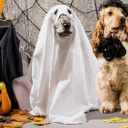 Ghost Pet Cloak Spooky Cosplay Costume