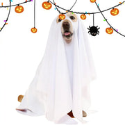 Ghost Pet Cloak Spooky Cosplay Costume