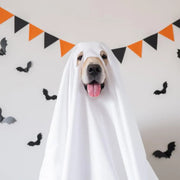 Ghost Pet Cloak Spooky Cosplay Costume