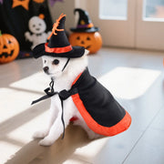 Halloween Pet Costume With Witch Hat Small Dog