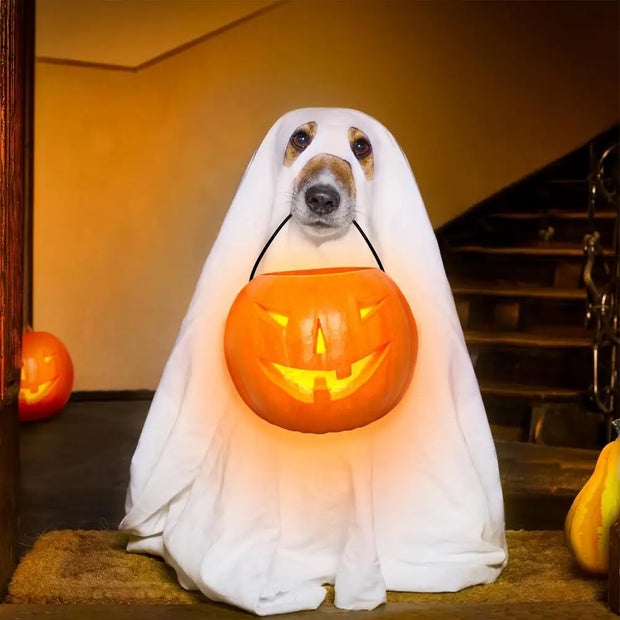 Ghost Pet Cloak Spooky Cosplay Costume