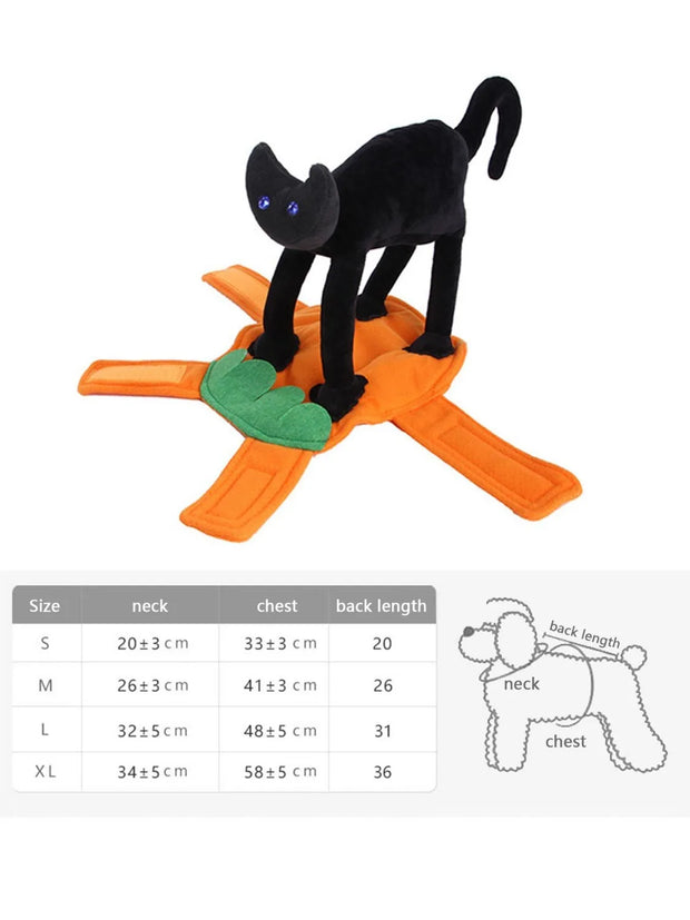 Pet Costume Pumpkin Black Cat