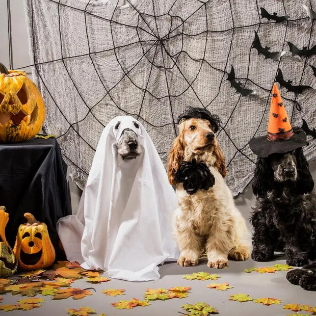 Ghost Pet Cloak Spooky Cosplay Costume