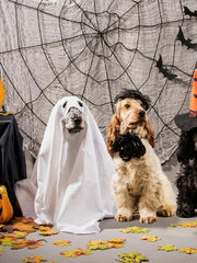 Ghost Pet Cloak Spooky Cosplay Costume