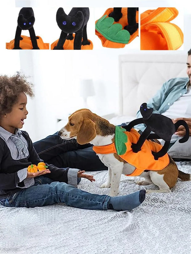 Pet Costume Pumpkin Black Cat