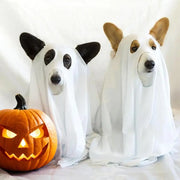 Ghost Pet Cloak Spooky Cosplay Costume