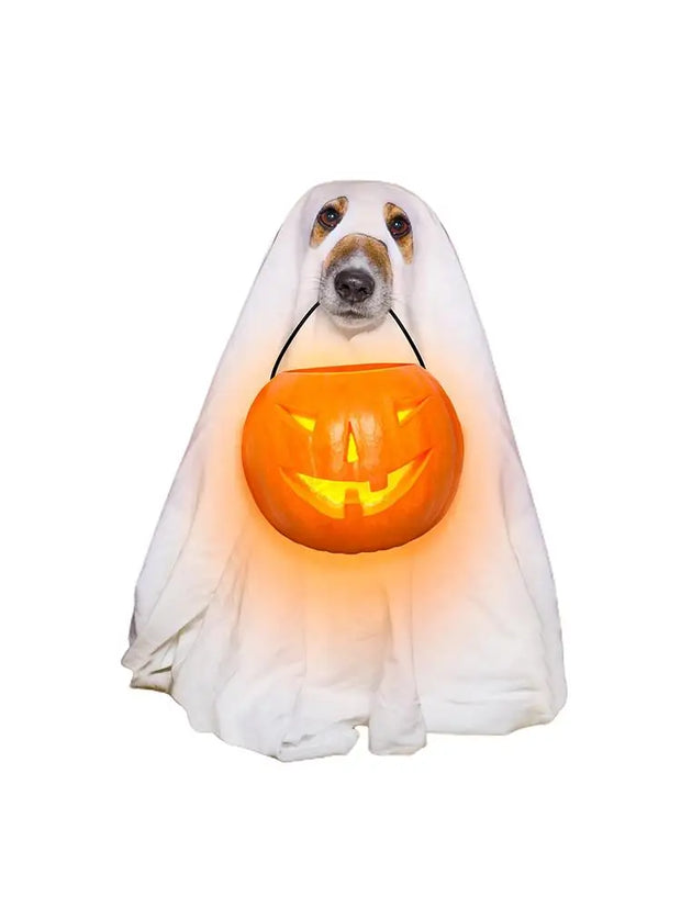 Ghost Pet Cloak Spooky Cosplay Costume