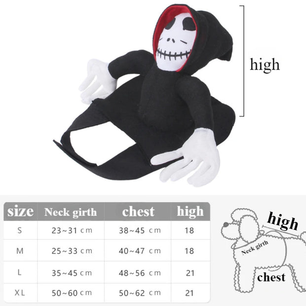 Pet Costume Pumpkin Black Cat