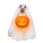 Ghost Pet Cloak Spooky Cosplay Costume