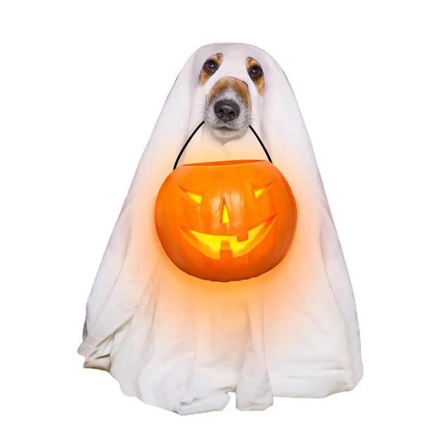 Ghost Pet Cloak Spooky Cosplay Costume