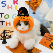 Halloween funny dogs, cats, pumpkins, hats, animal costumes