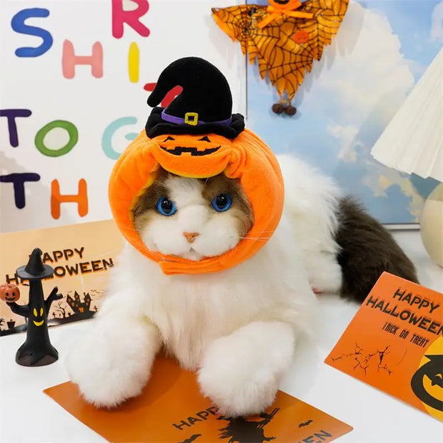 Halloween funny dogs, cats, pumpkins, hats, animal costumes