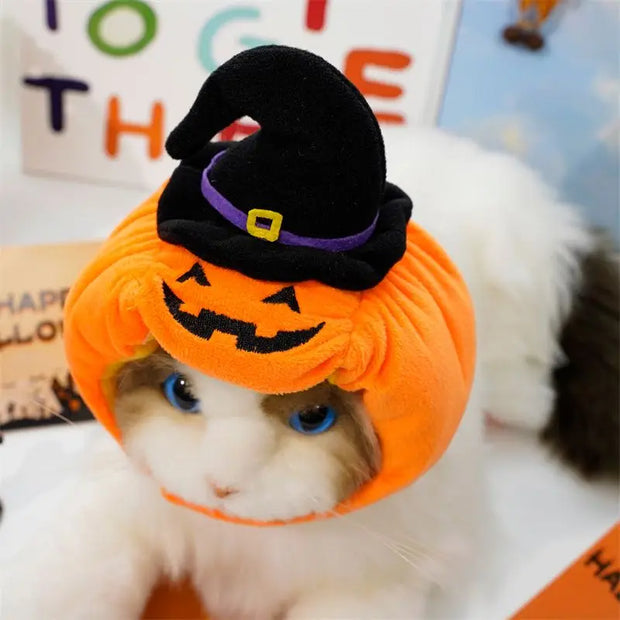 Halloween funny dogs, cats, pumpkins, hats, animal costumes