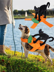 Pet Costume Pumpkin Black Cat