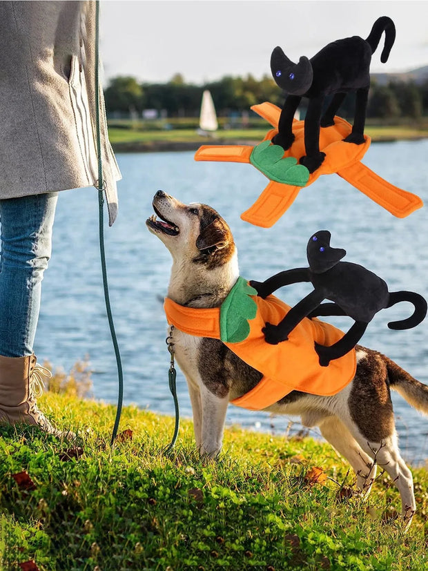 Pet Costume Pumpkin Black Cat