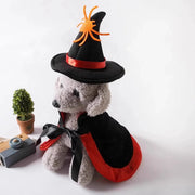 Halloween Pet Costume With Witch Hat Small Dog