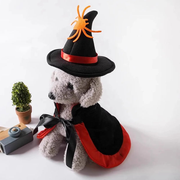 Halloween Pet Costume With Witch Hat Small Dog