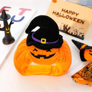 Halloween funny dogs, cats, pumpkins, hats, animal costumes