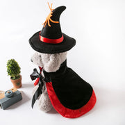 Halloween Pet Costume With Witch Hat Small Dog